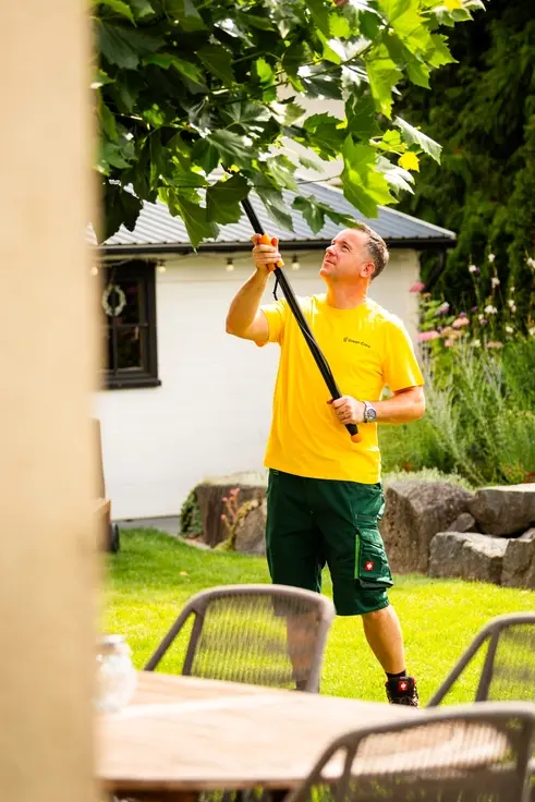 Baumpflege durch Green Crew Mitarbeiter