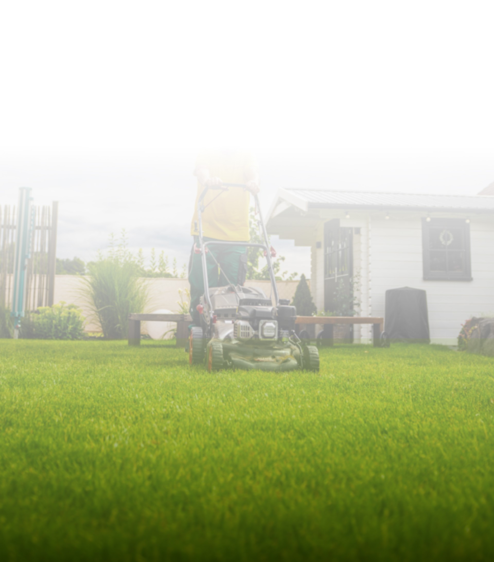 GreenCrew home ban 1