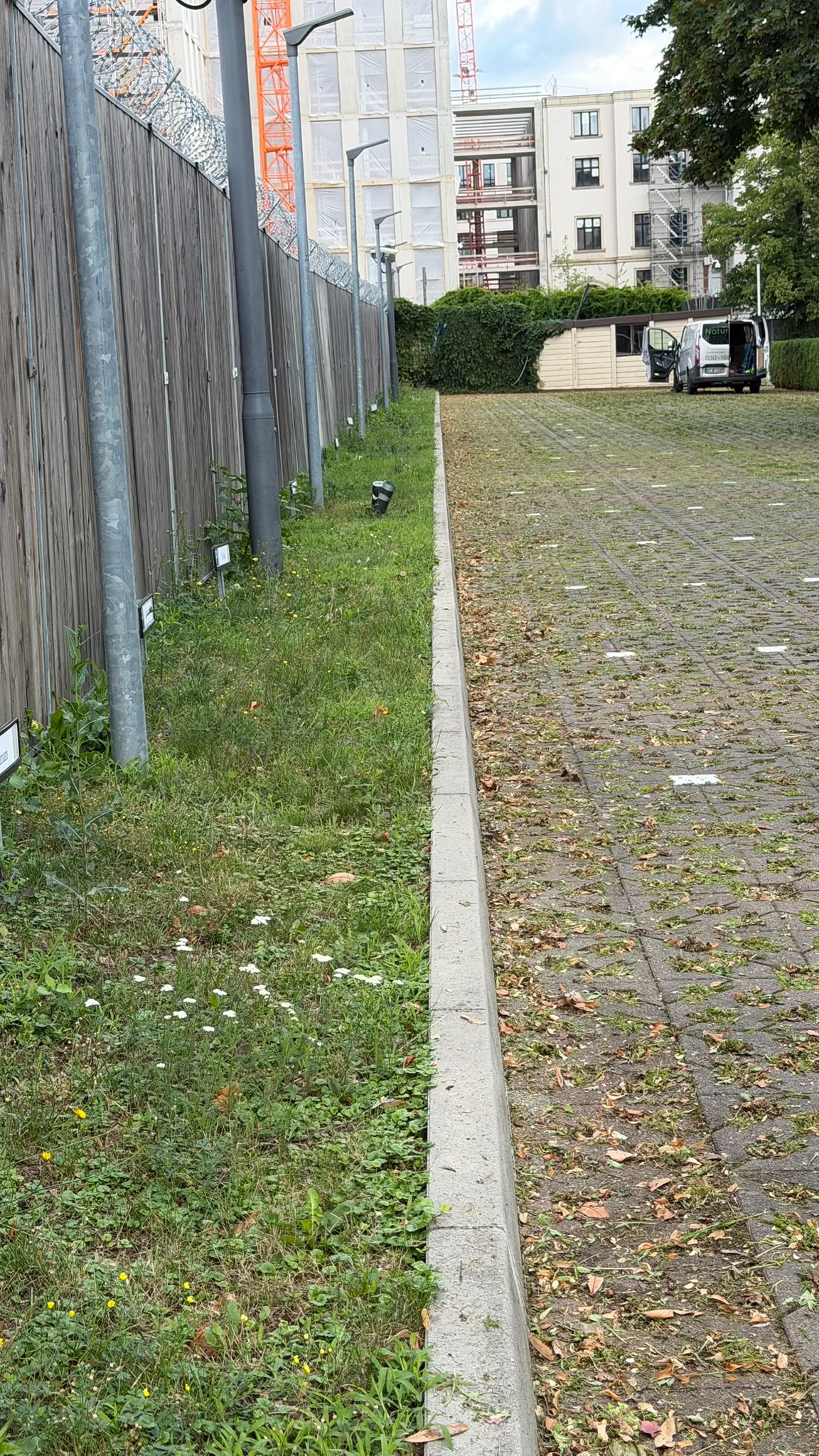 Abg Ber 06 Before image
