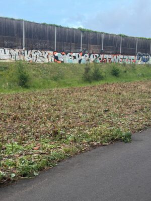 CS Berlin 04
