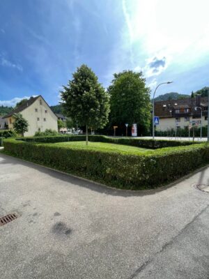 Freiburg Referenzen