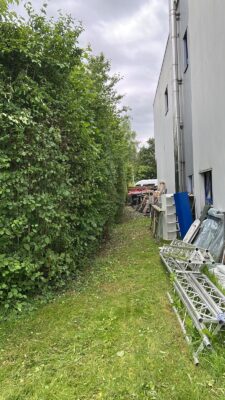 Gehölzrückschnitt Fulda – Vorher-Nachher am Sporthaus