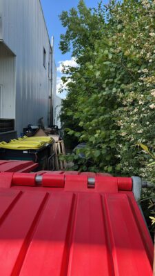 Gehölzrückschnitt Fulda – Vorher-Nachher am Sporthaus