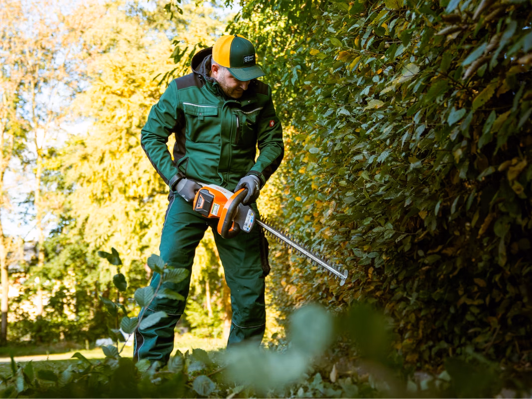Hecke schneiden Handgeraet 02 1 1