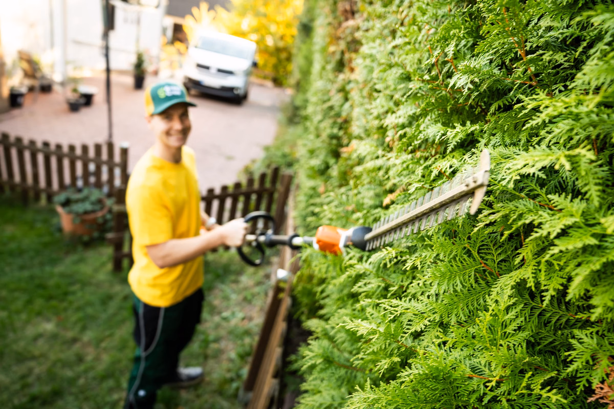 Hecke schneiden Teleskopheckenschere 01 1 Hecke schneiden Teleskopheckenschere 01 1