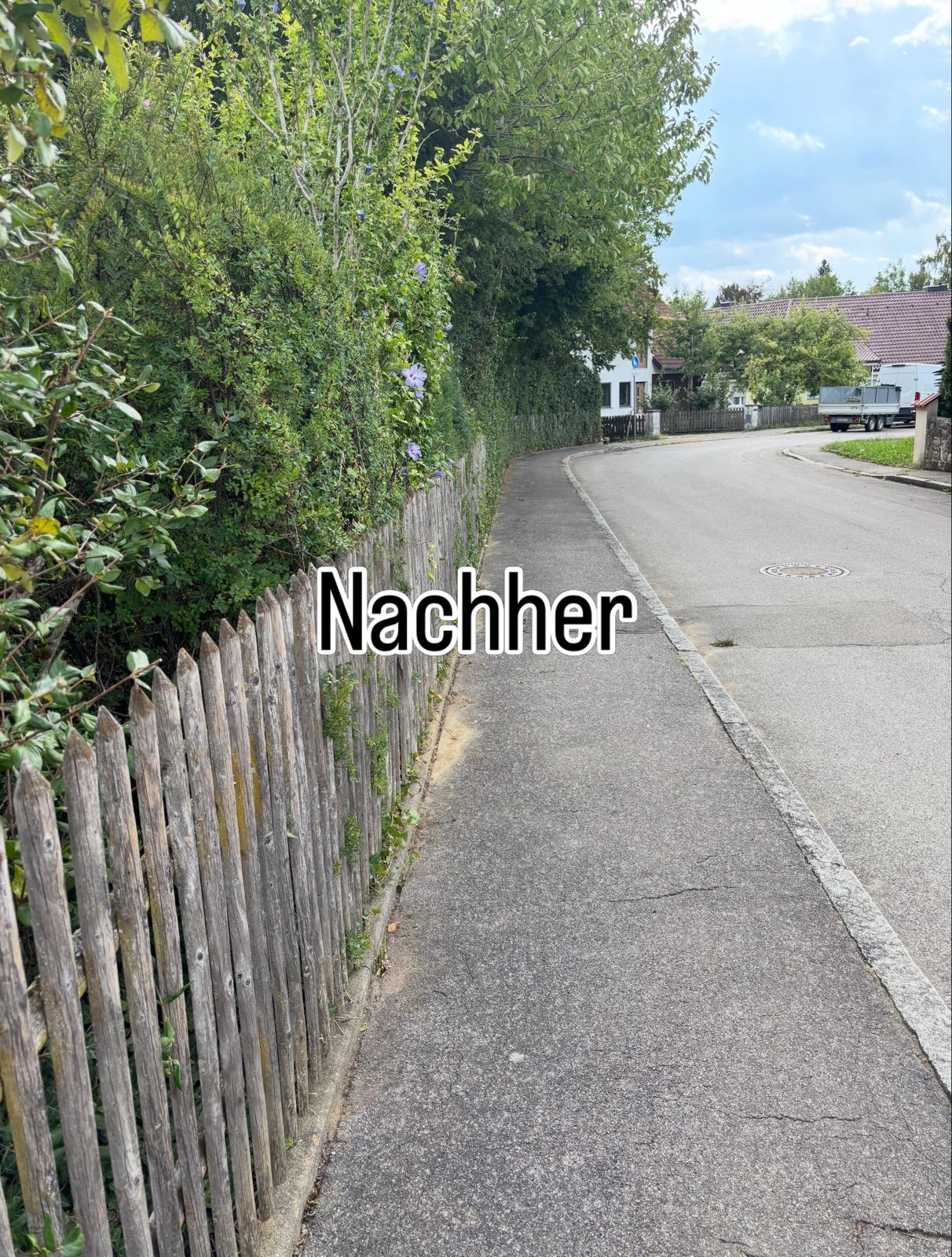 Nachher: Hecke zurückgeschnitten und Gehweg freigeräumt