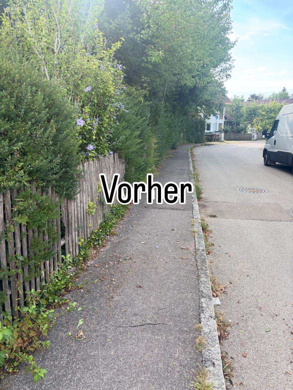 Vorher: Hecke wächst über den Gehweg