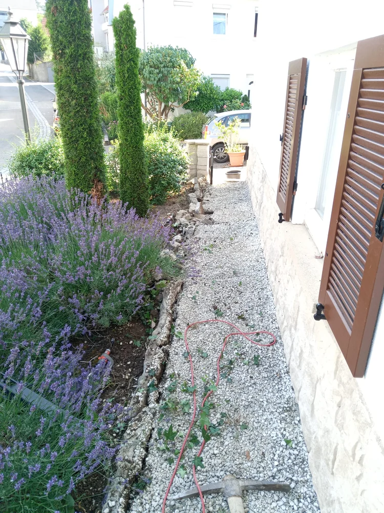 Seitenbereich eines Hauses mit Pflanzen und einem schmalen Kiesweg